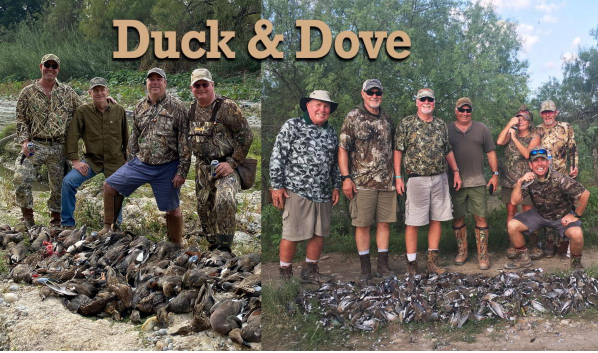 Mourning Dove & Duck Combo Hunts | Mexico Dove Hunt | Mourning dove