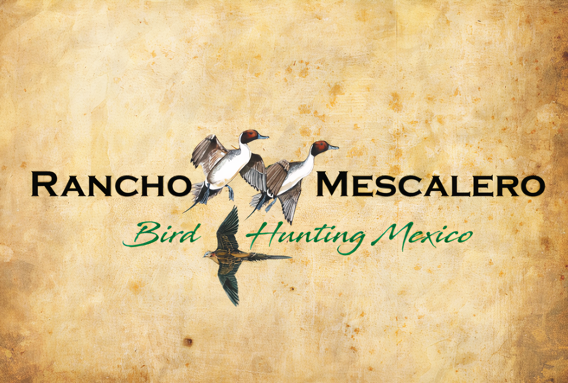 Mexico Whitewing Dove Hunt | Rancho Mescalero Nuevo Leon | Monterrey